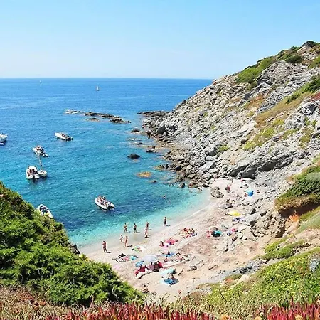 Six-fours-les-plages, 2 Pièces, 4 Personnes - Fr-1-316-115 Six-Fours-les-Plages